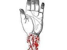 New Music Converge 