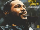 MARVIN GAYE - WHAT'S GOING ON - GATEFOLD 180g VINYL LP *NEW & SEALED*