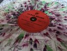 King Gizzard and The Lizard Wizard 12 Bar Bruise FLT-001R Muckraker