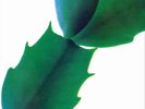 Yoshimura Hiroshi-Green VINYL NEW