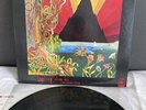 LP Mountain - Live The Road Goes Ever On | Japan Press | M/NM | Limited Edition