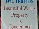 The Triffids - Beautiful Waste / Property is Condemned 7