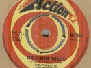 MELVIN DAVIS**SAVE IT ( NEVER TOO LATE )**SOUL**THE ACTION LABEL**HEAR IT