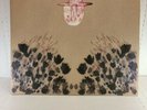 Devendra Banhart Smokey Rolls Down Thunder Canyon Double LP
