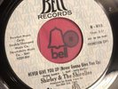 SHIRLEY & THE SHIRELLES : NEVER GIVE YOU UP   BELL 815 “PROMO”   Orig. Soul 45