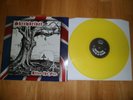 ISD AFTER THE FIRE LP rare ror skinheads oi rebelles