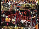 IN HAND  Yeah Yeah Yeahs - Fever To Tell LP
