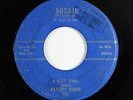 Blues 45 - Albert King - I Get Evil - Bobbin - mp3