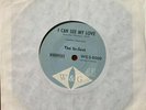 The In-Sect I Can See My Love / More Than I Can Say Rare Oz 60s garage/punk