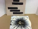 LP - Mayday Parade Black Lines - Bone w/ Black Splatter - 1st press 500