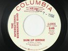 Garage 45 - International Submarine Band - Sum Up Broke - Columbia - VG+ mp3
