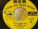 Mod Garage Punk Dancer 45 The Leather Boy I'm a Leather Boy / Shadows HEAR