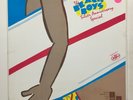 BEACH BOYS Silver Anniversary Special USP Network nn NM 3LPs 3 hour radio show