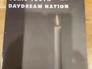 Sonic youth daydream nation double album signed poster RARE