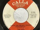 FUZZ I Love You For All Seasons SWEET SOUL 45 VG++ HEAR