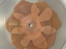 Karen Elson Viscious Clear Vinyl 45# With Pressed Flower Petal Third Man Records