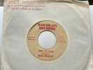 Bad Brains Pay To Cum 7” (1980)