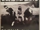 Beastie Boys Check Your Head 2 LP Vinyl New Sealed 180 Gram Audiophile Mint