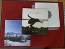 Eddy Vedder ( Perl Jam) Into The Wild, LP Music On Vinyl MOVLP 166, Top