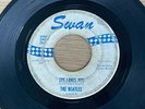 The Beatles 45 record SHE LOVES YOU  Swan 1964 White Label Blue Print?