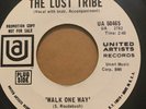 Psych Rock Promo 45/ The Lost Tribe 