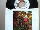 PAUL MCCARTNEY WINGS LITTLE WOMAN LOVE MARY HAD A LITTLE LAMB PIC SLEEVE 45