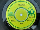 Wire, I Am The Fly/ Ex Lion Tamer 7