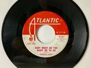 Barbara Lewis - Baby What Do You Want Me To Do - 45/7