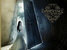 EVANESCENCE THE OPEN DOOR  R S D 2 DISC  GREY MARBLE COLOURED VINYL NEW SEALED