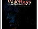 The Waterboys How Long Will I Love You RSD2021 12