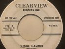 Surf Rockabilly Promo 45/ Thrashers 