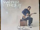 WALTER TROUT, BLUES FOR THE MODERN DAZE VINYL 2LP, NEAR MINT