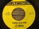 The RAMRODS - Flowers In My Mind / Mary Mary - RARE 1967 PSYCH GARAGE 45 SINGLE
