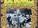 BEAU BRUMMELS Autumn In San Francisco Original Vinyl LP 1985 UK (NM) Folk Rock