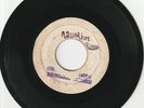 REGGAE ROOTS VOCAL BLANK LABEL THE ACETONE 