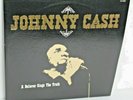 JOHNNY CASH - A BELIEVER SINGS THE TRUTH - 2 VINYL LP RECORDS / 20 GREAT SONGS