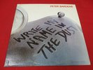 PETER BARDENS Write My Name in the Dust LP (1971) orig PROG white label promo