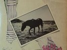 Denny Laine Holly Days vinyl b5826b