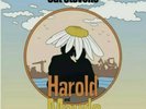 Cat Stevens - Harold and Maude LP 2021 RSD Brand New Yellow Vinyl