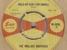 THE WALLACE BROTHERS**HOLD MY HURT FOR AWHILE**SOUL**THE SUE LABEL**LISTEN