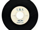 Trojans Of Evil - Why Girl / Through The Night 45 1967 Garage Very Rare