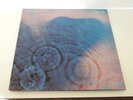 Pink Floyd - Meddle  LP
