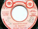 Michael Raprose (Rose) ?– Freedom Over - Reggae Roots 45 - Observer