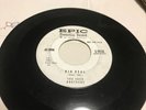 Rockabilly 45 The Skee Brothers Big Deal Promo Copy