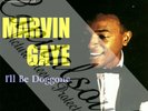 60S MOD SOUL TAMLA MOTOWN MARVIN GAYE I'LL BE DOGGONE  PICTURE SLEEVE