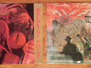 2 - 1980s METAL LP VINYL RECORDS - HERETIC Breaking Point / RAGE Execution MINT