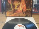 Echo And The Bunnymen* ?– Crocodiles Vinyl Excellent, KODE1