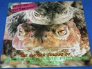 Peter & The test Tube Babies - Mating Sounds Of South American Frogs LP. Great