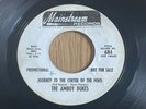 Ted Nugent Amboy Dukes ?Promo 45 record  JOURNEY TO THE CENTER OF THE MIND 1968