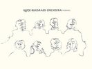 Hayde Bluegrass Orchestra Migrants  (Vinyl)